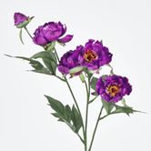 Peony Spray 64CM Purple