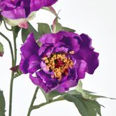 Peony Spray 64CM Purple