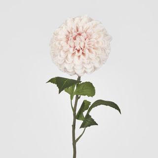 Single Ball Dahlia 74CM Light Pink