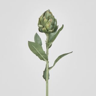 Single Artichoke Green 58CM