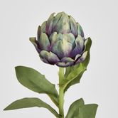 Single Artichoke Plum 58CM