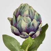 Single Artichoke Plum 58CM