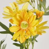 Daisy Spray 74CM Yellow