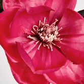 Magnolia Spray 84CM Beauty Pink