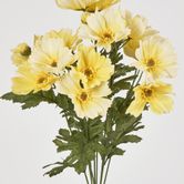 Cosmos Bush 48CM Yellow