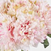 Frilly Light Pink Peony Bouquet