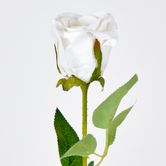 White Velvet Valentines Rose Bud