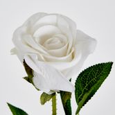 White Velvet Valentines Rose Bud