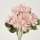 Pink Mum Bush x 5 46cm