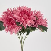 Light Pink Mum Bush x 5 46cm