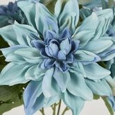 Blue Dahlia Bush x 5