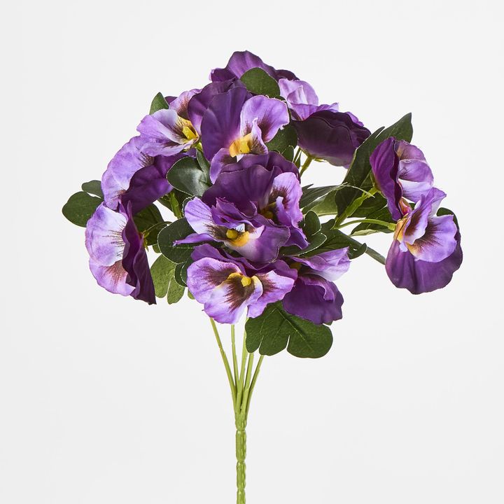 Purple Pansy Bush 32cm