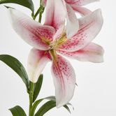 Lily Real Touch 90cm Pink