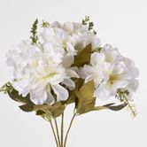 White Marigold Bush x 5