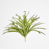 Green White Spider Plant with 79 Leaves Real Touch