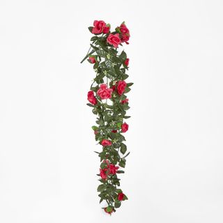 Hanging Roses