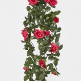 Hanging Roses