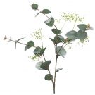 Grey Green Eucalyptus Spray with seed