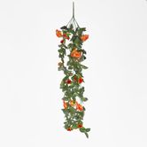 Hanging Roses