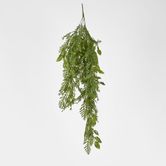 Hanging Fern Leaf Combo