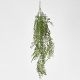 Light Green Hanging Boxwood