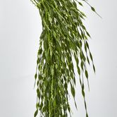 Hangine Willow Vine 65cm