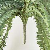 Huge Green Boston Fern Bush 52 leaves