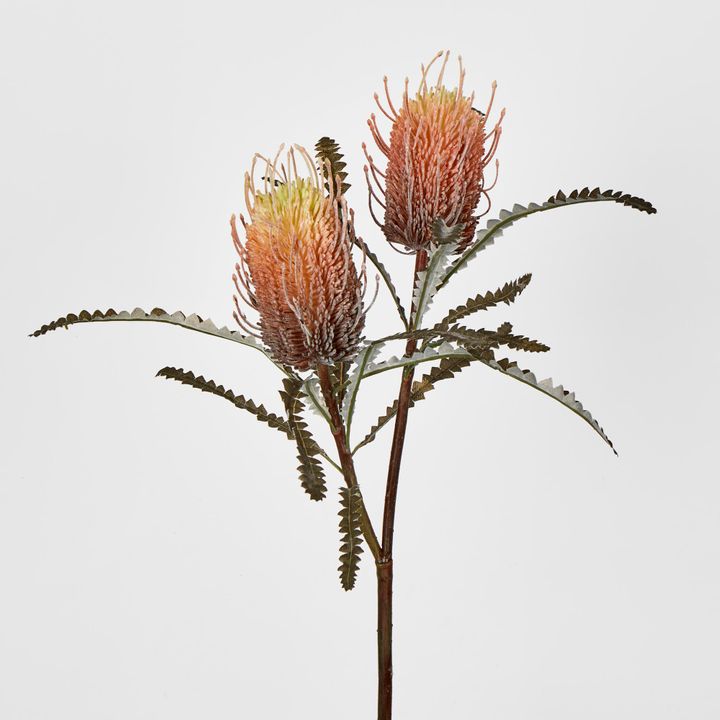 Orange Banksia Spray