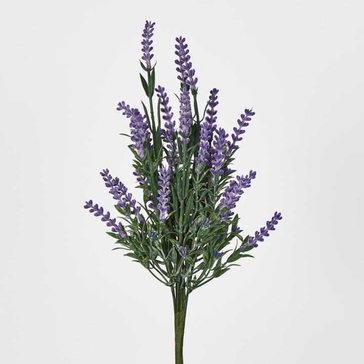 Lavender x 7 (Increments of 2)