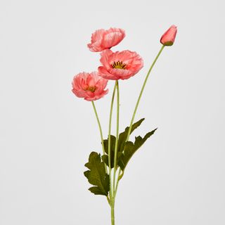 Peach Poppy Spray 3 Flowers 1 bud