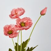 Peach Poppy Spray 3 Flowers 1 bud