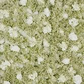 White Rose Hydrangea  & Gyp Floral Wall