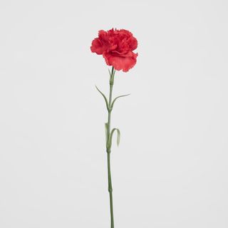 Real Touch Carnation Stem Red