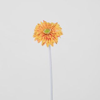 Gerbera Stem Orange