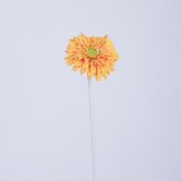 Gerbera Stem Orange