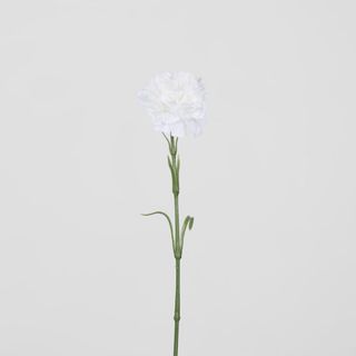 Real Touch Carnation Stem White