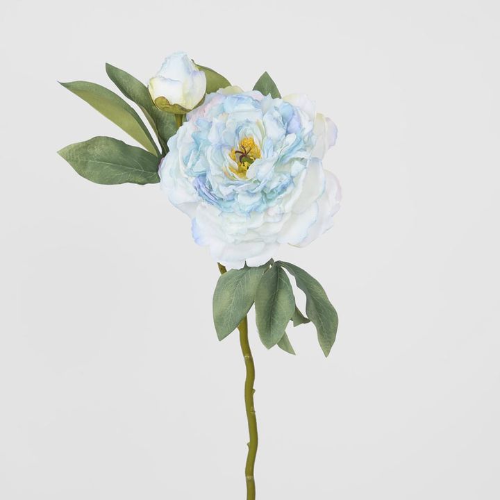 Peony With Bud Stem Blue