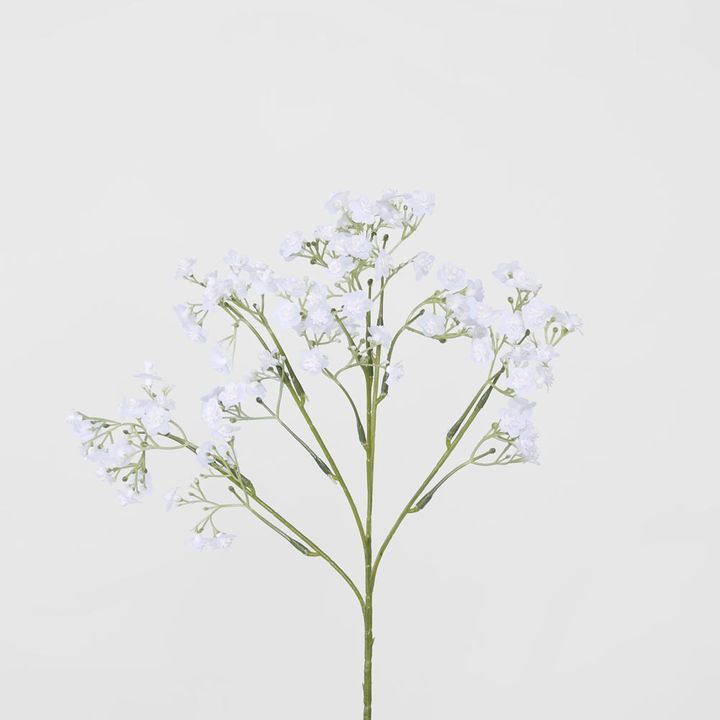 Baby's Breath Stem White