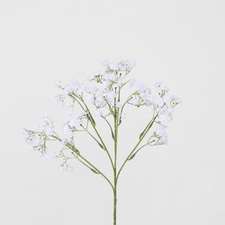 Baby's Breath Stem White