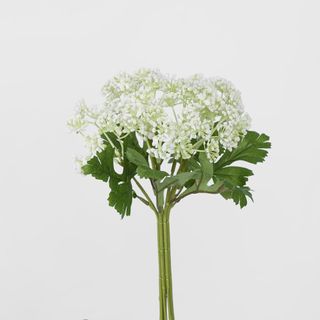 Snow Flower Bunch White