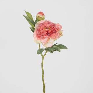 Peony With Bud Stem Coral Pink