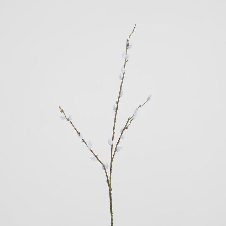 Pussy Willow Stem Small