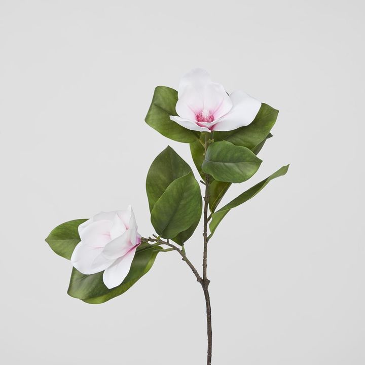 Magnolia Stem Pink