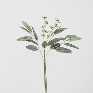 Eucalyptus Bouquet