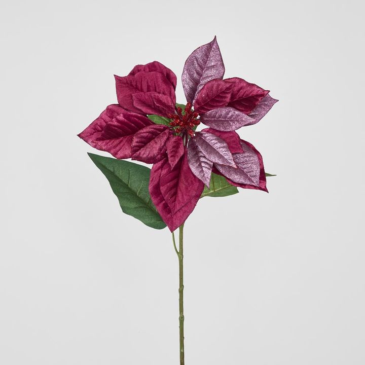 Mettalic & Velvet Single Large Poinsettia Burgundy