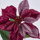 Mettalic & Velvet Single Large Poinsettia Burgundy