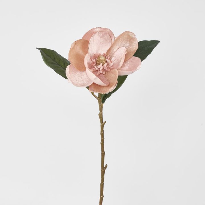 Single Magnolia with 2 Leaves Peach