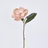 Single Magnolia with 2 Leaves Peach