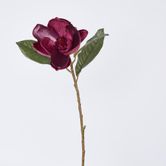 Single Magnolia with 2 Leaves Burgundy