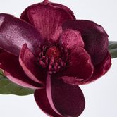 Single Magnolia with 2 Leaves Burgundy